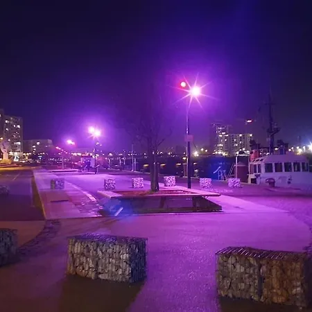 公寓 Studio-cosy 10 Proche Nausicaa 滨海布洛涅