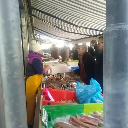 公寓 Studio-cosy 10 Proche Nausicaa